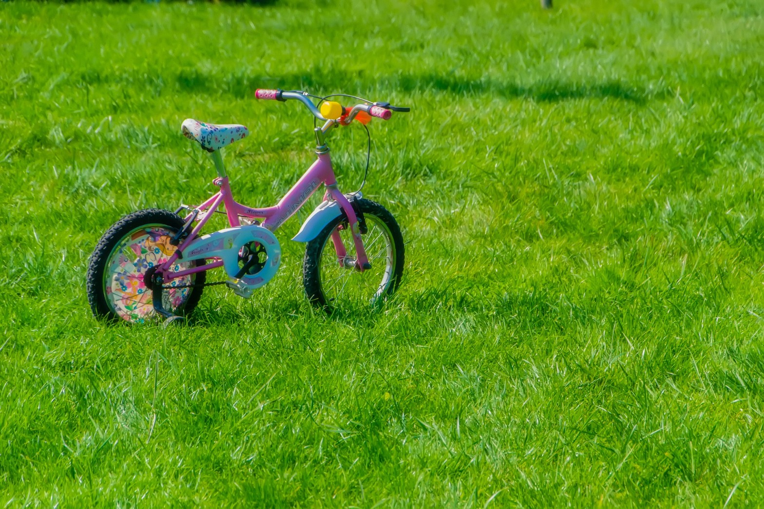 Bicicletta per bambini